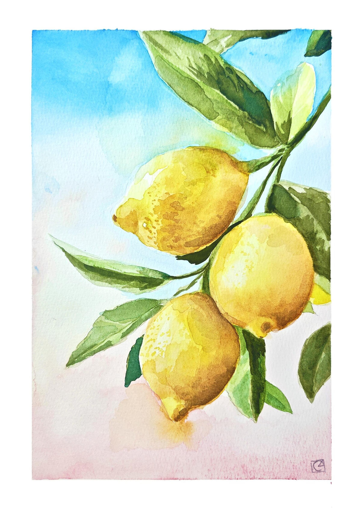 Three yellow lemons with green leaves above soft blue and pink watercolour washes.